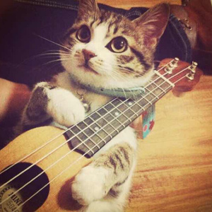 XXNX👙老帅18动漫
